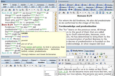 will quickverse bible software work on windows 8.11